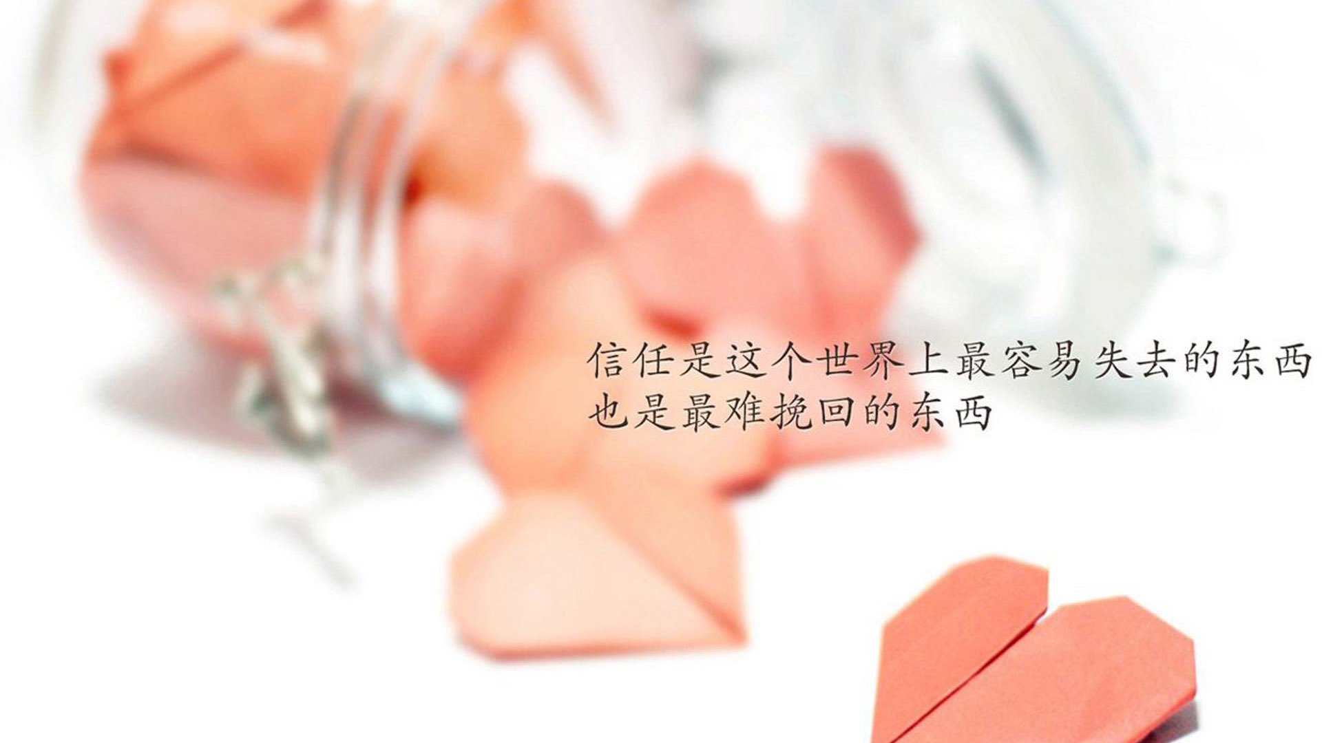 《守望先锋日锦赛,豪门争夺荣誉时刻》,守望先锋联赛集锦