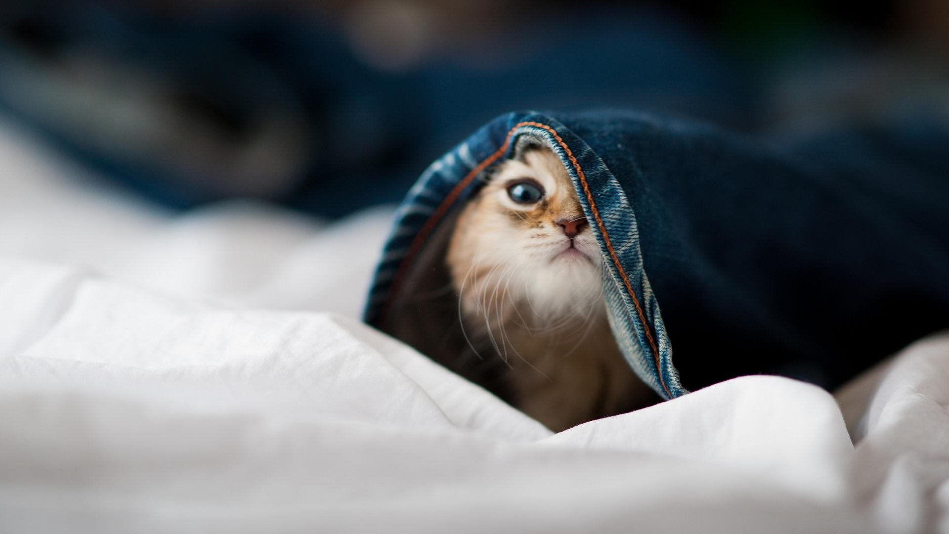 【创新规则探讨】未来棒球或将引入更多高科技玩法,棒球未来社区控制性详细规划编制单位