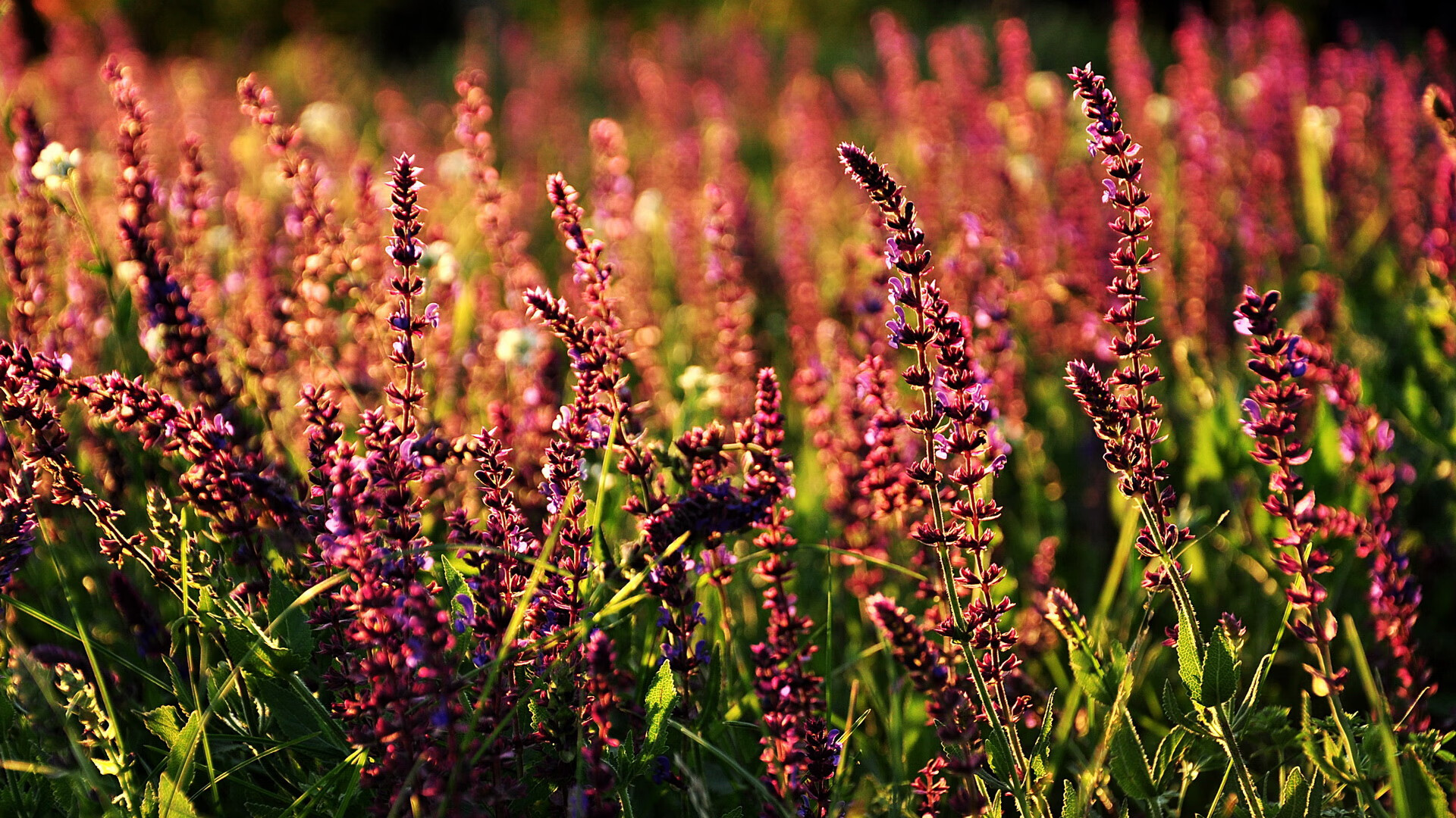 开云网站-【比赛幕后】运动员准备、裁判判罚、现场布置全纪录，运动员裁判员入场解说词