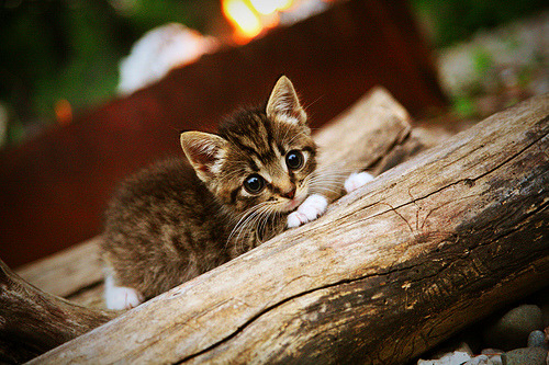 开云竞猜官网-勇士精彩逆转！，勇士逆风翻盘的比赛